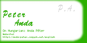 peter anda business card
