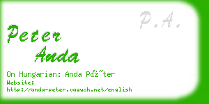 peter anda business card